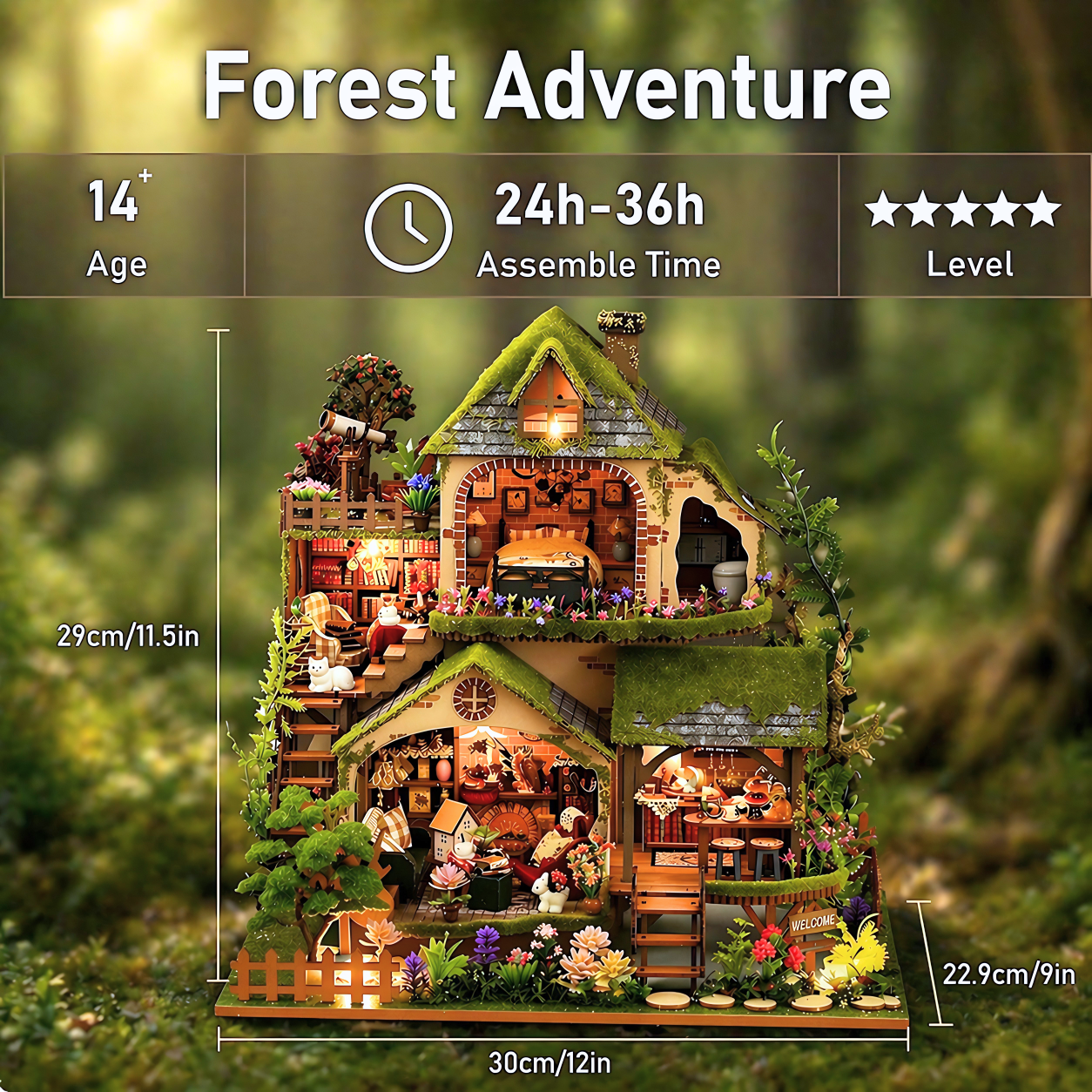 Forest Adventure
